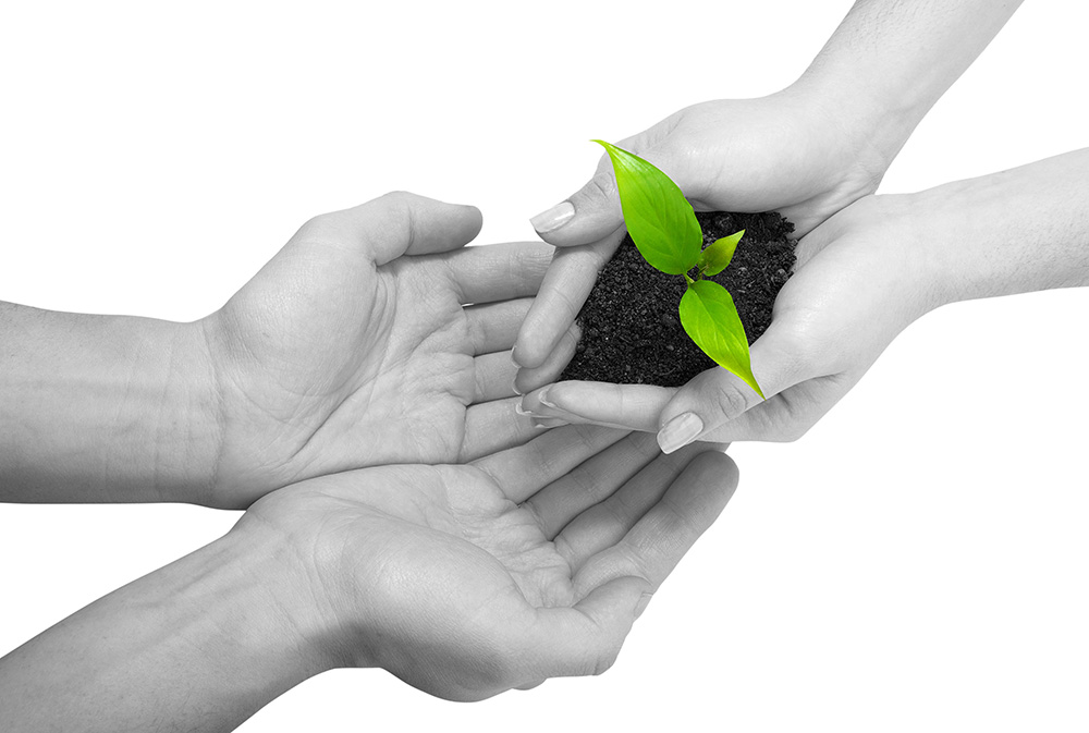 电话轰在线网页版入口